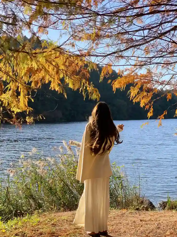 神州租车APP界面